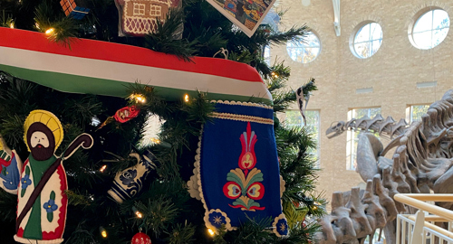 A close up view of a holiday tree with colorful ornaments. A dinosaur skeleton is in the background.